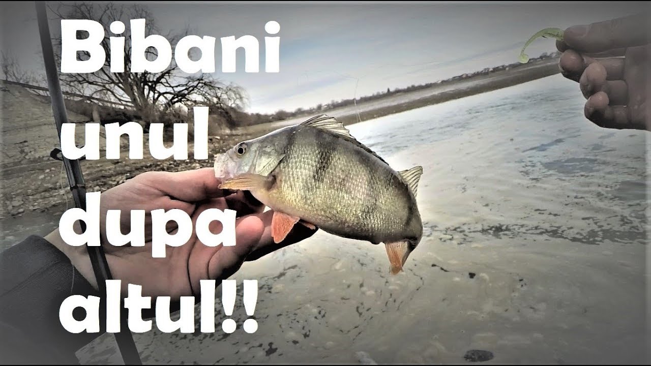 Pescuit la Biban 2019 - prima bibaneala la dropshot!