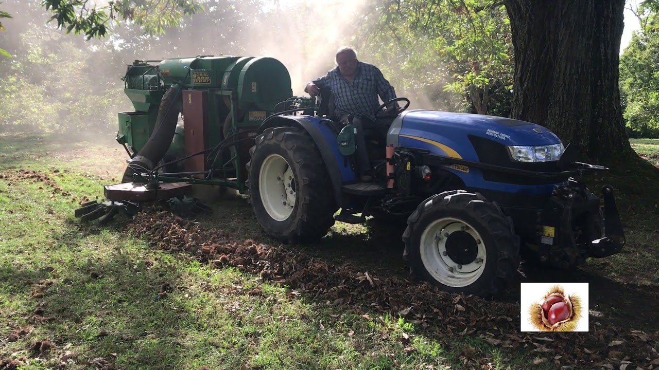 Raccoglitrici trainate CIMINA - Castagne - Facma 2019