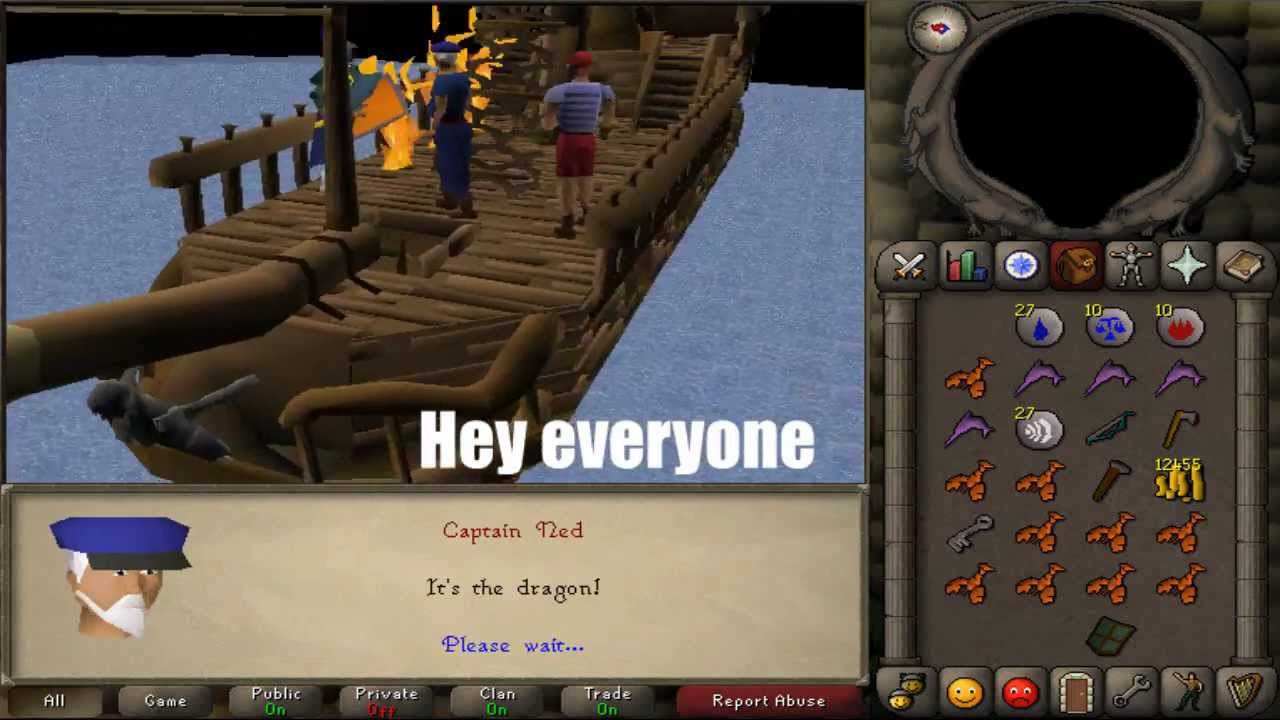 Journey of a Runepure - Stats, Quests, Fire Cape | Old School Runescape