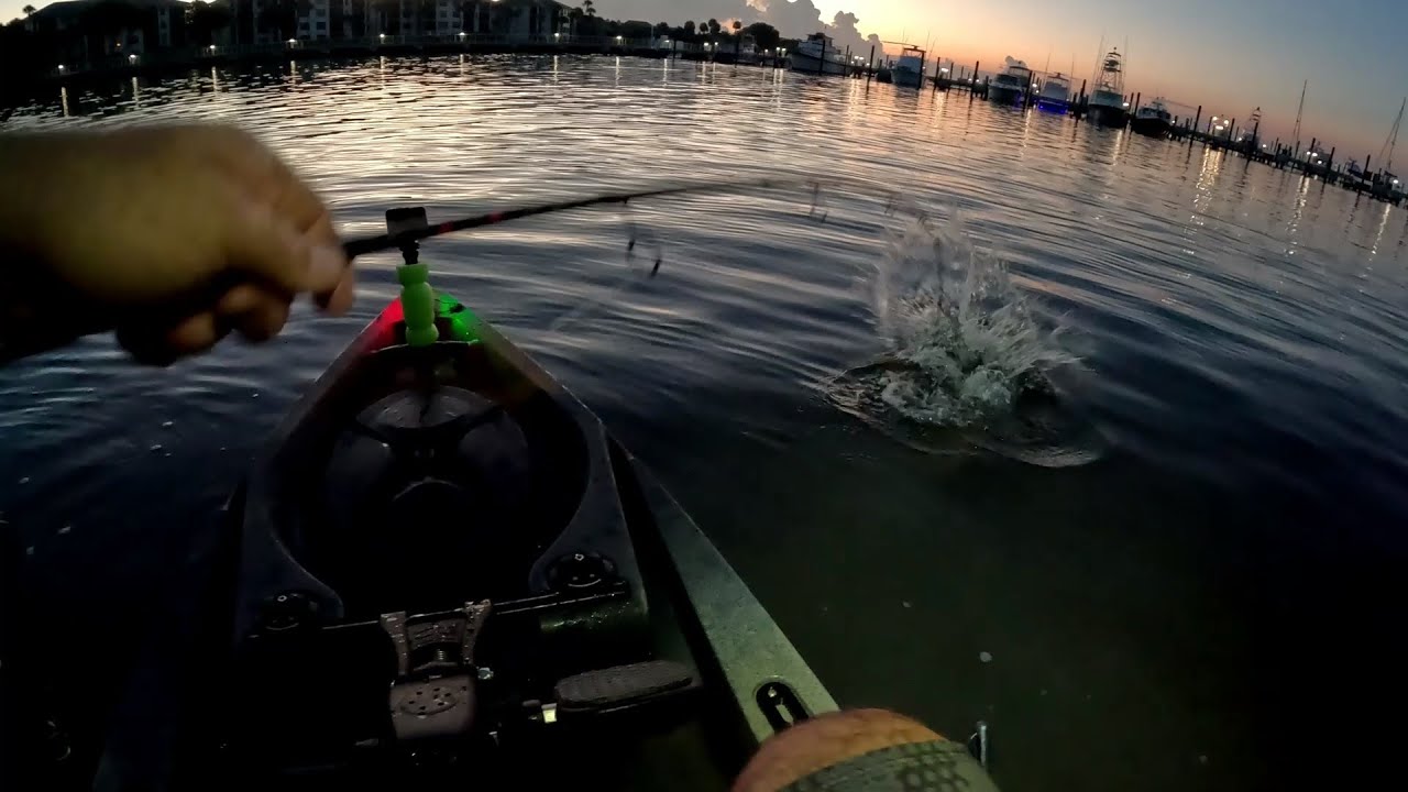 Part 1- JACKAPOCALISS,  BIG FLOUNDER and some SNOOK!!!!