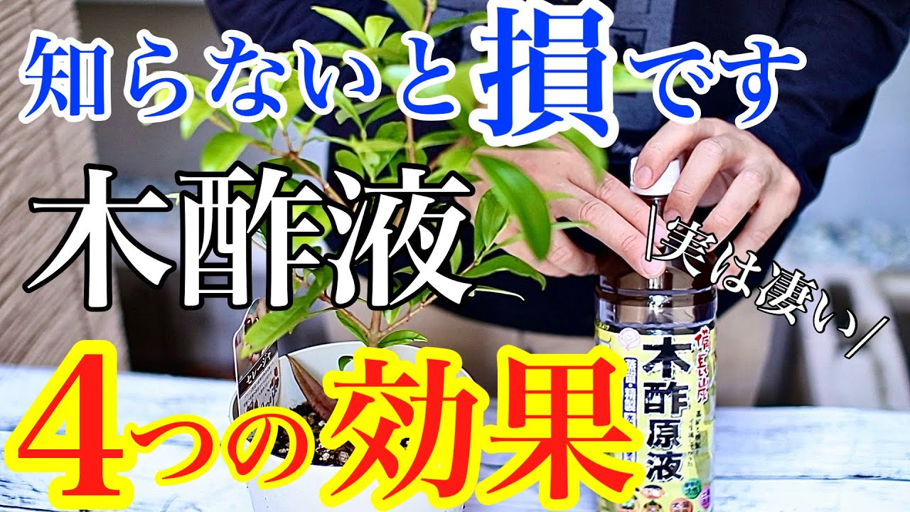 【みんな知らない】木酢液の本当の効果と使い方、デメリットも教えます