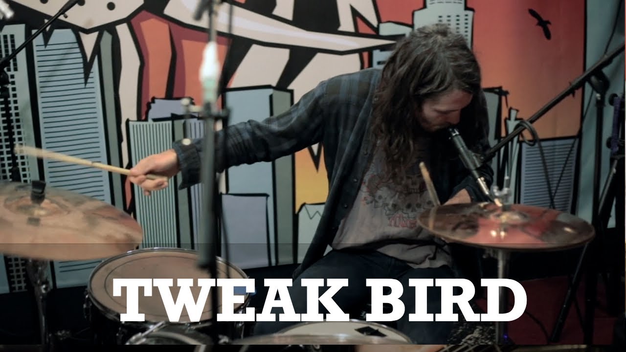 Tweak Bird 