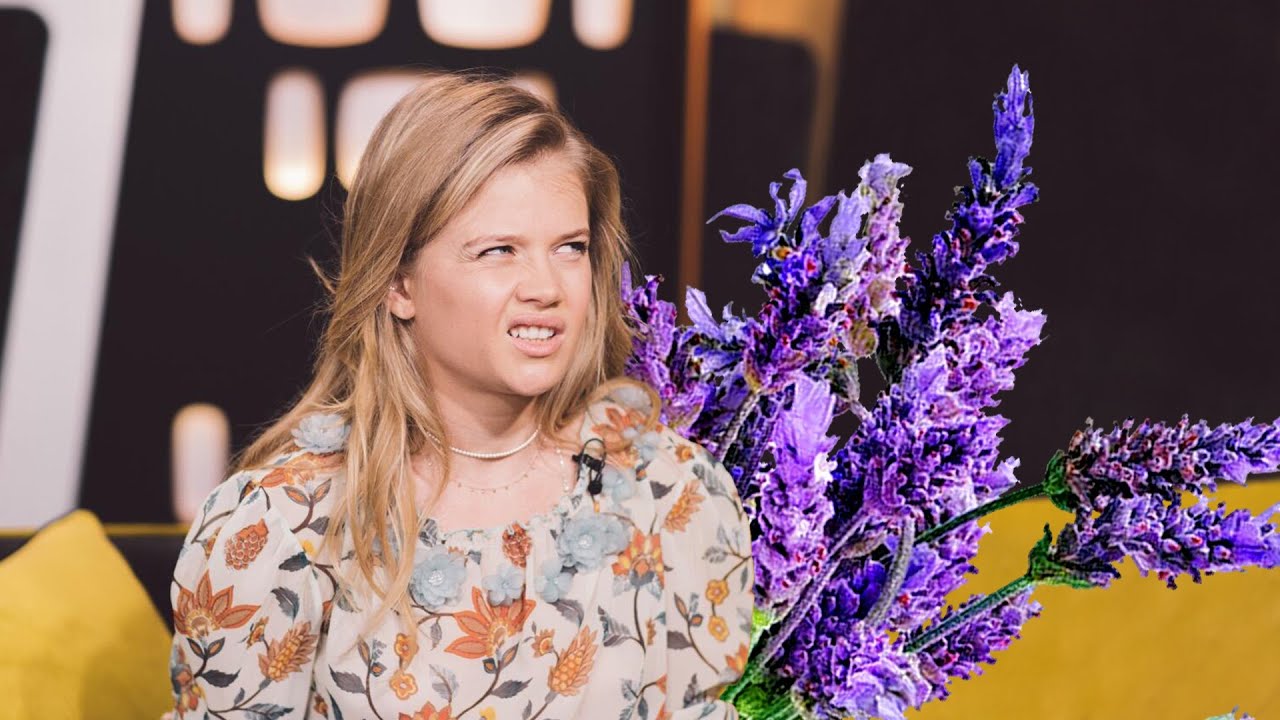 Мария Ивакова: как очистить энергетику дома?