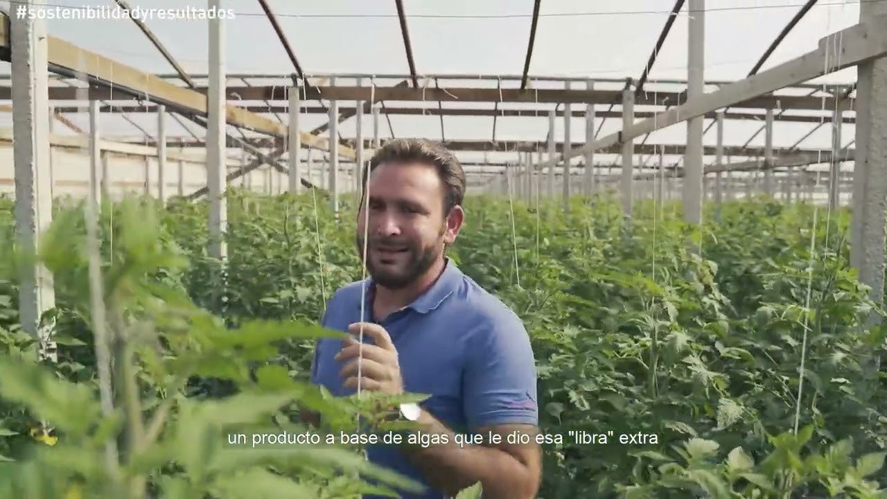 Valagro testimonial Licitra (video tecnico ES/MX)