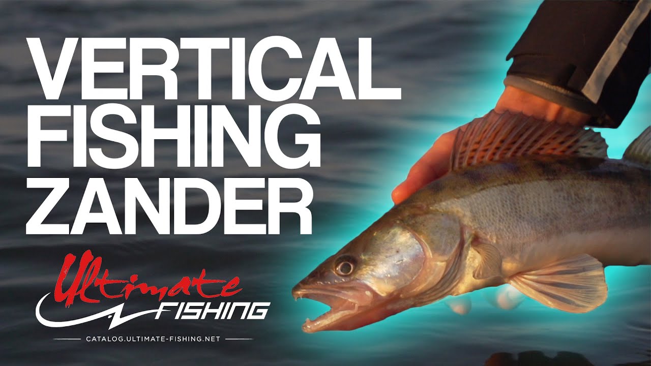Ловля крупного судака на вертикальный джиг - Ultimate Fishing