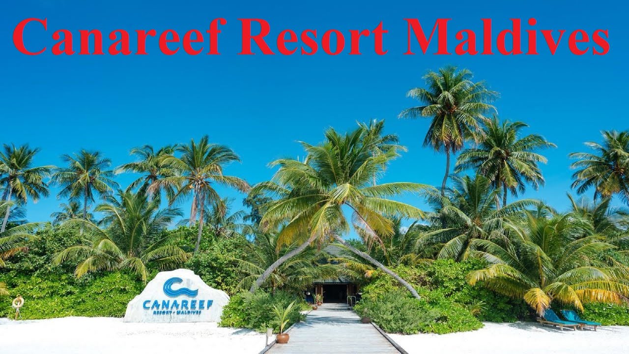 Ultimate Relaxation at Canareef Resort Maldives: Luxury Escapes Await!