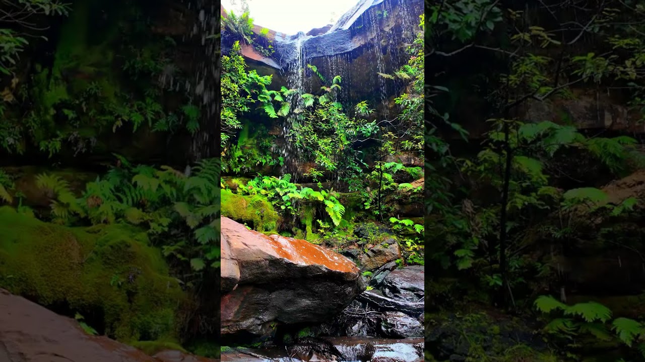 Hidden Waterfall in Sydney | Upper National Falls
