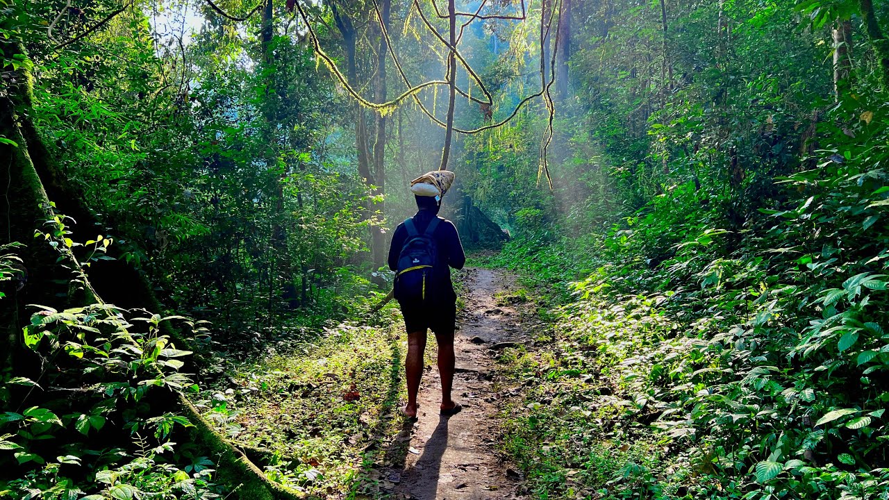 Sabarimala Trek via the Traditional Long Route | Erumeli - Azhutha - Karimala - Pampa | Kaananapatha