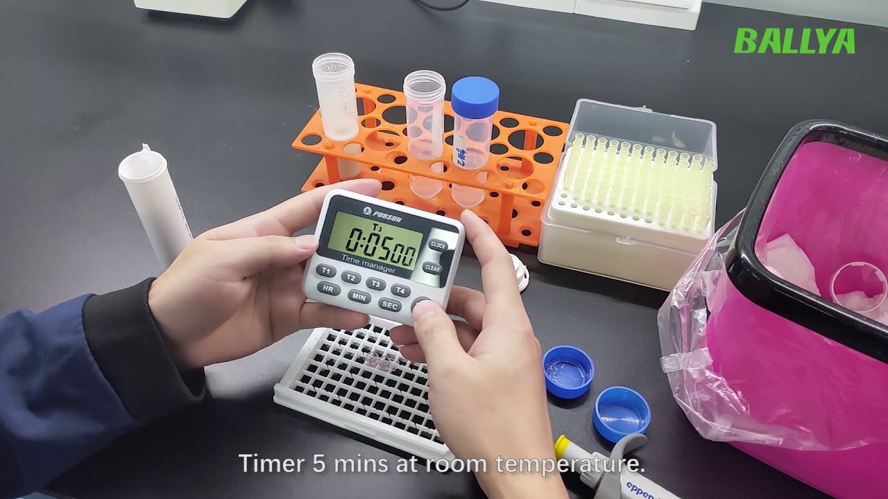 Aflatoxin B1 rapid detection test kits