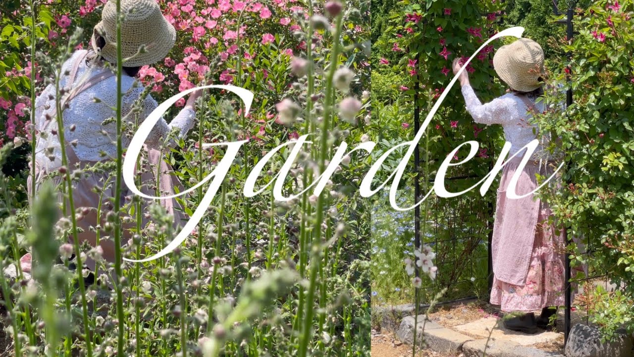 [Garden] 동화 속 공주님처럼 피어난 꽃! 여름 초화류의 환상 조합은? | 정원, 가드닝