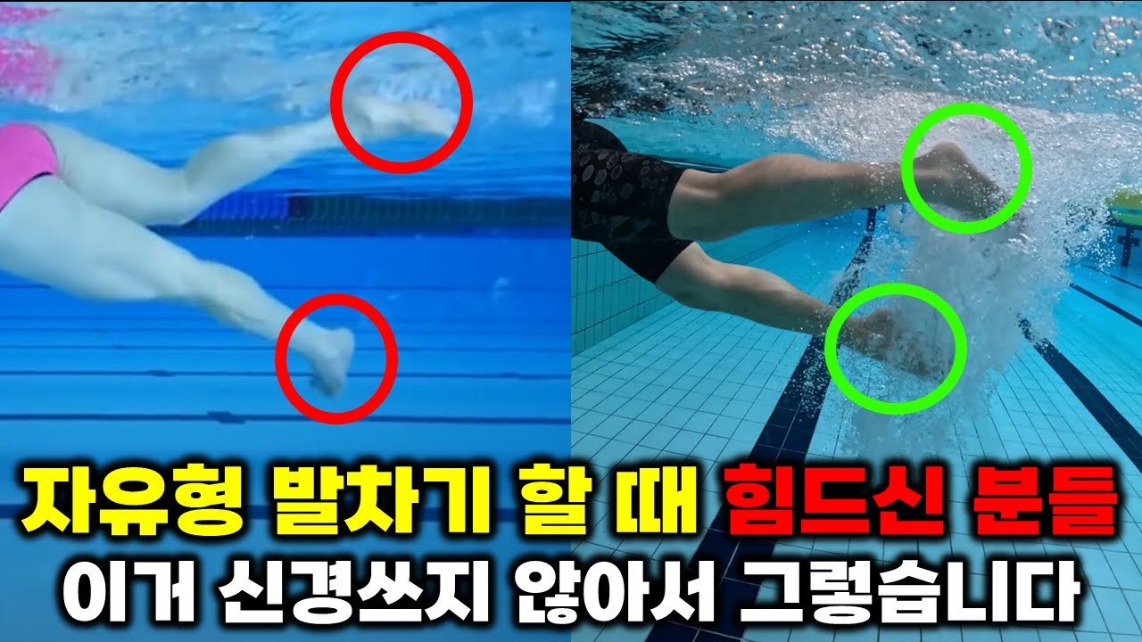 자유형 발차기 이것만 알면 누구나 쉽게 찰 수 있습니다