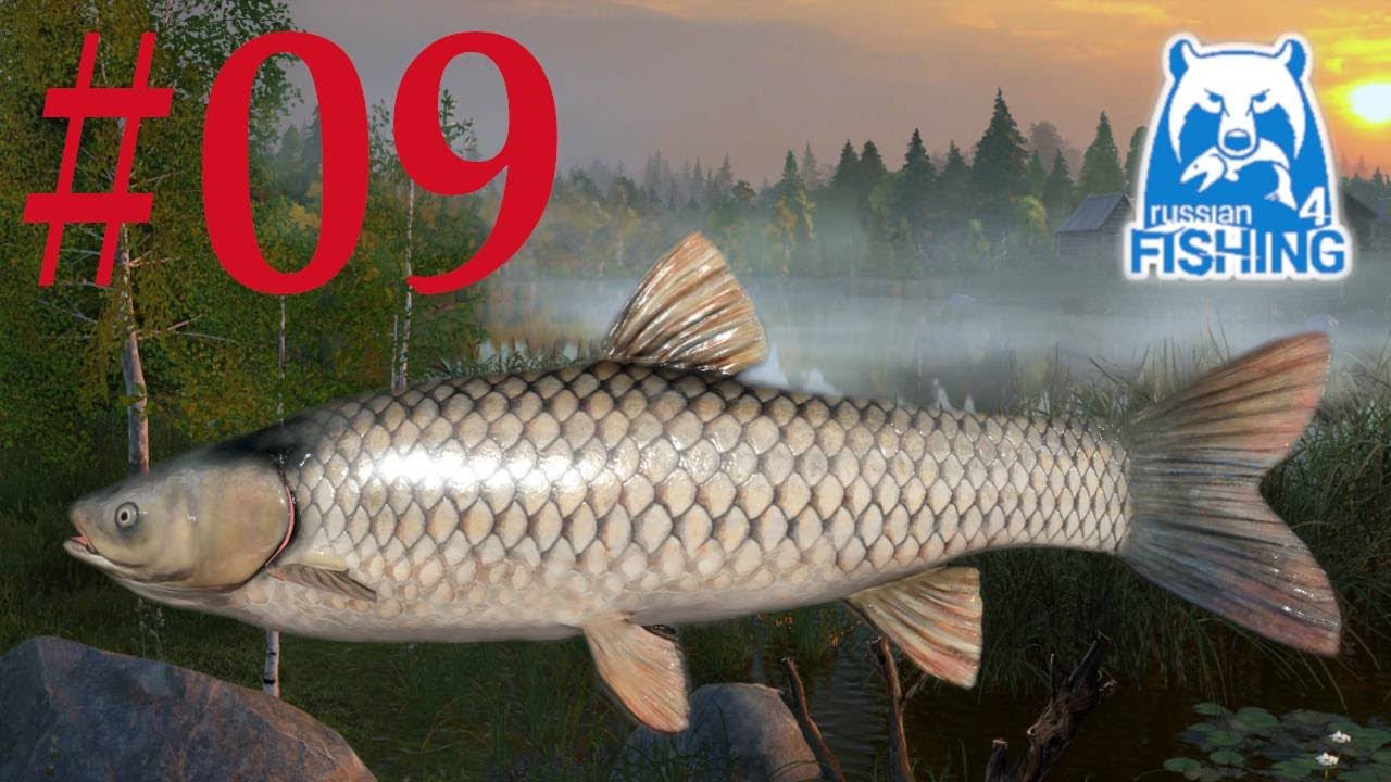 Russian fishing 4 - Walka z rybą - Amur Biały | Grass Carp | Jezioro Stary Gród | Old Burg Lake #09