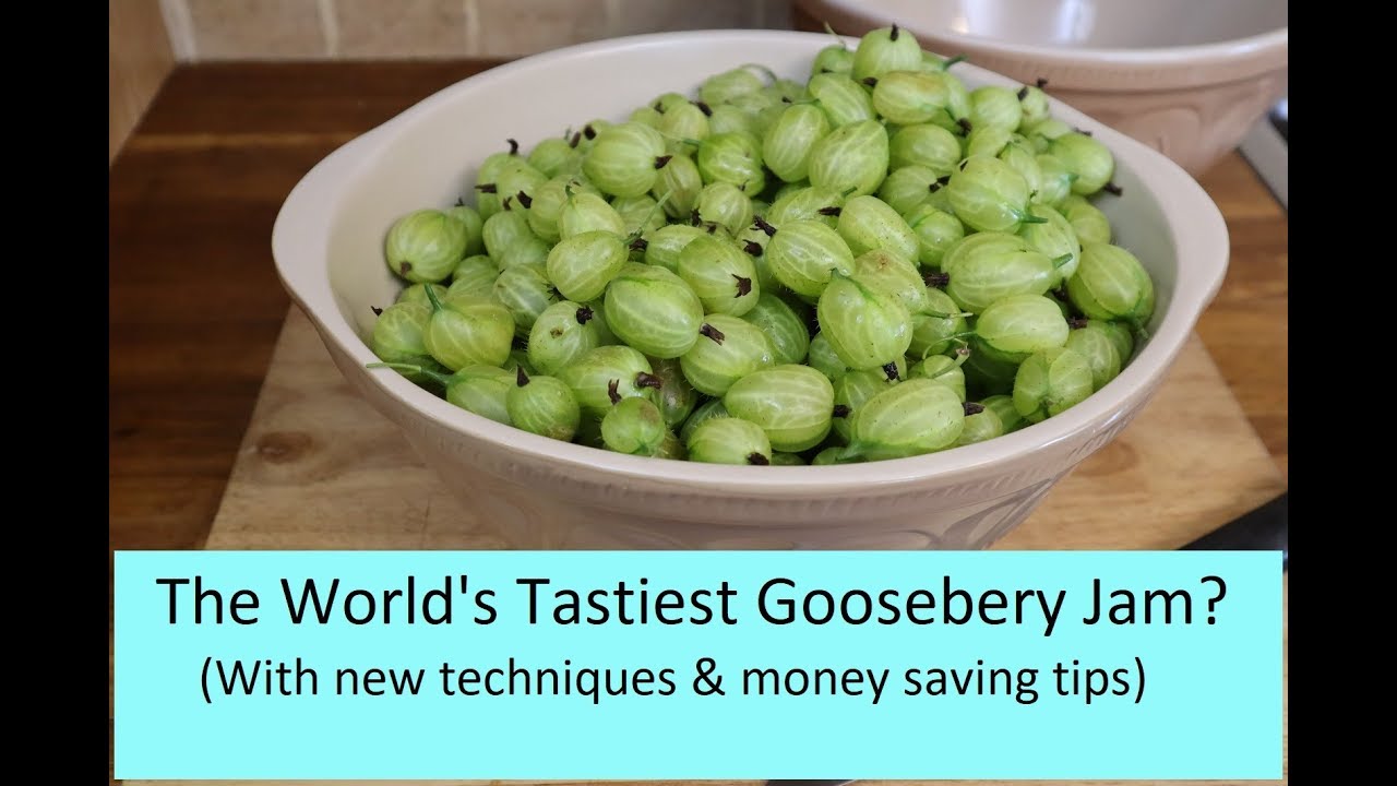 The World's Tastiest Gooseberry Jam?