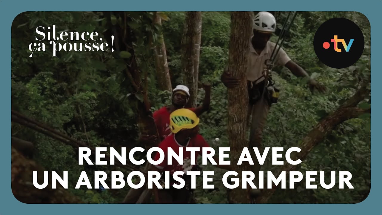 Rencontre avec un arboriste grimpeur - Silence, ça pousse ! 14 Décembre 2024