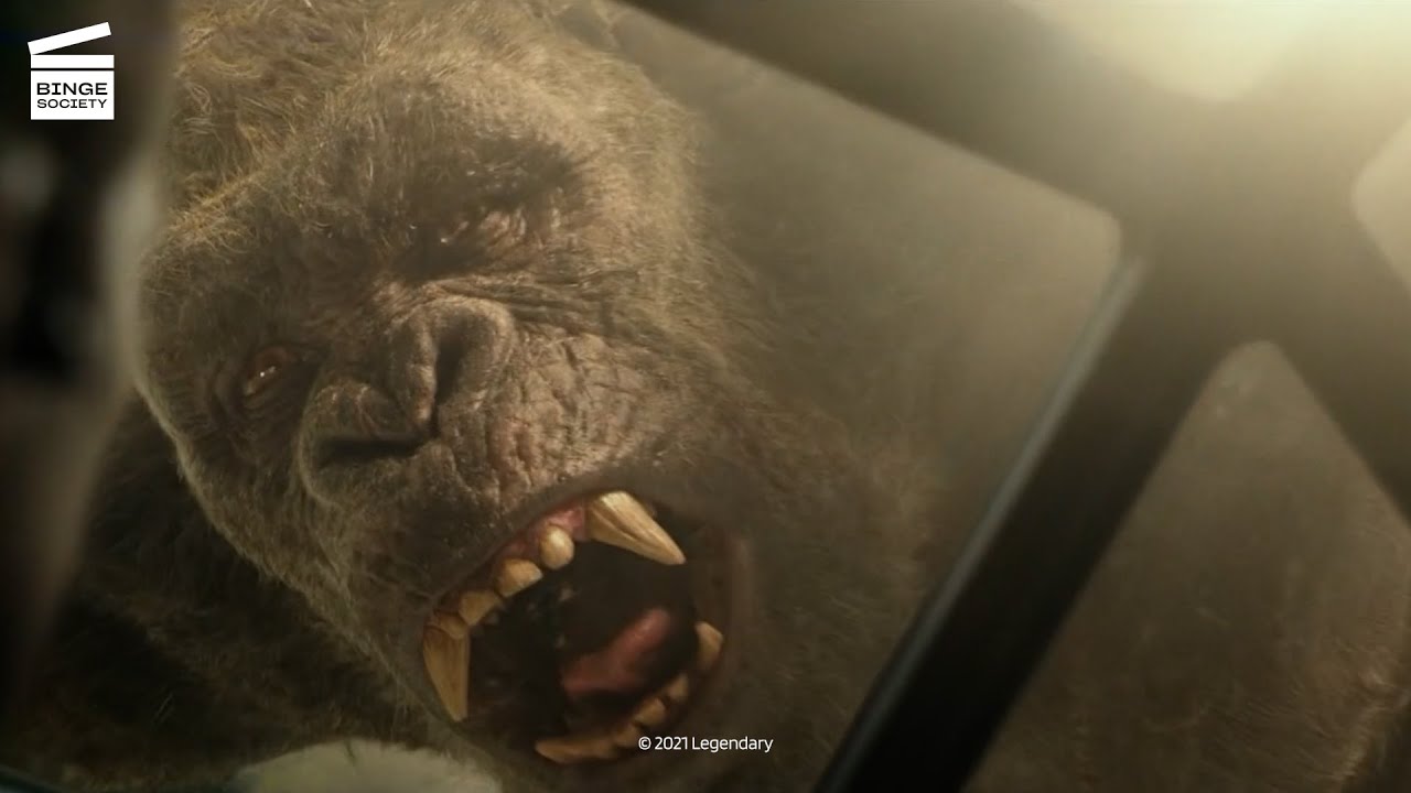 Godzilla vs Kong : Scène de découverte de la Terre Creuse (CLIP HD)