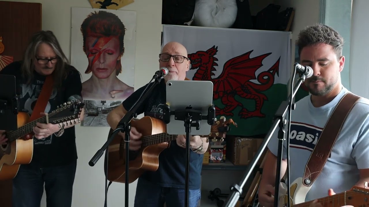 Stuck in the Middle with You cover by 3 Pints down