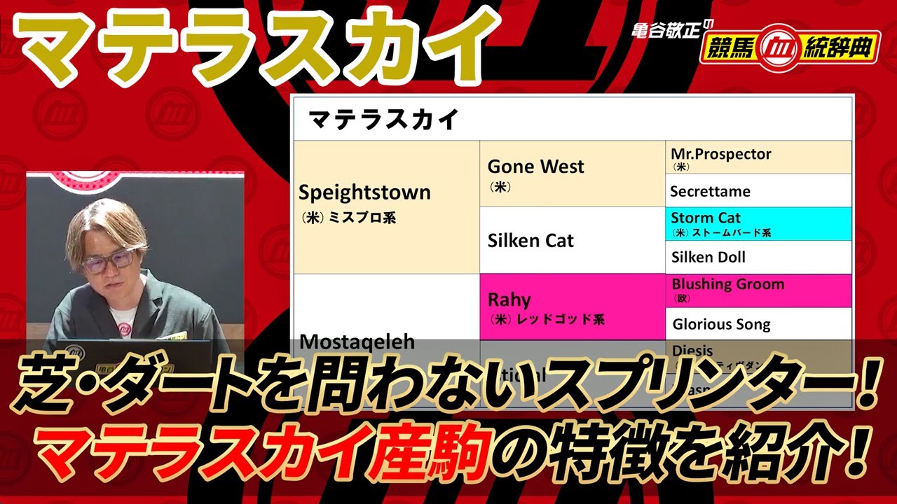 【マテラスカイ】 残された3世代でもポテンシャルに期待大の種牡馬！