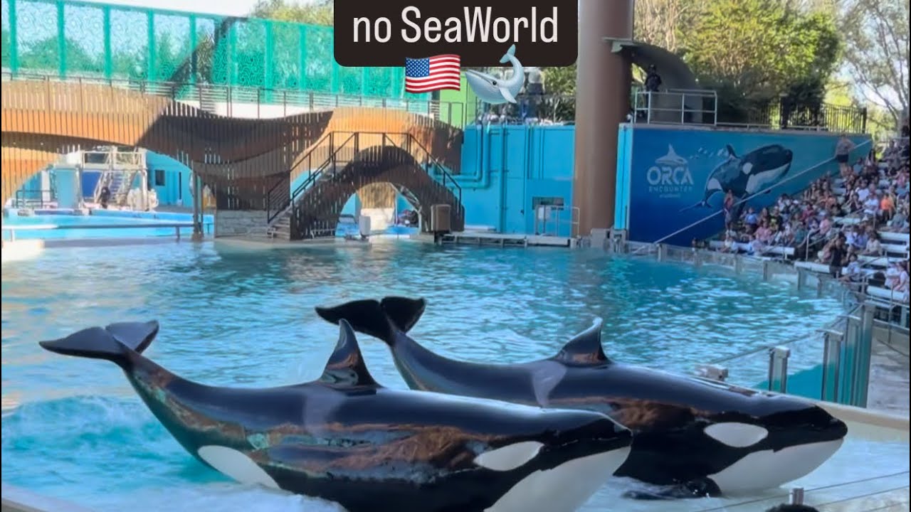 Vlog Sea World 
