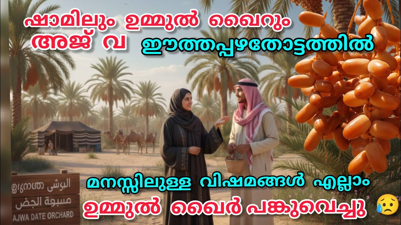 ഷാമിലും ഉമ്മുൽ ഖൈറും ajva ഈത്തപ്പഴത്തോട്ടത്തിൽ🥹മനസ്സിലുള്ള വേദനകളെല്ലാം അവൾ പങ്കുവെച്ചു😥