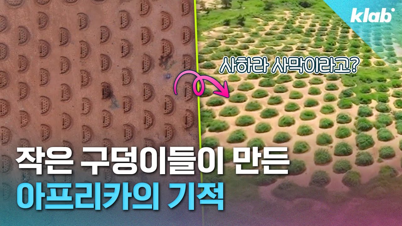 아프리카의 황량한 땅에 ‘구덩이’를 파자 나타난 놀라운 변화｜크랩