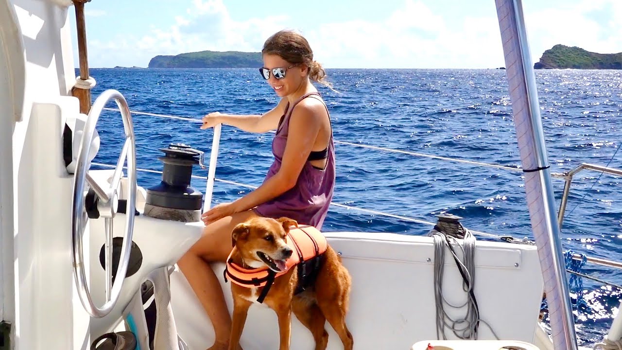 SAIL your boat | Dog Vlog