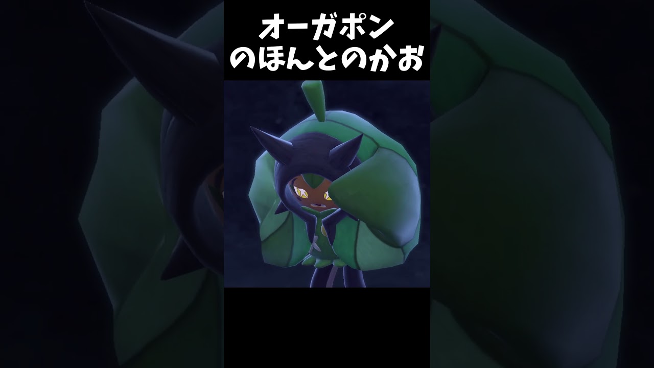 オーガポンのすがお【ゼロの秘宝碧の仮面】