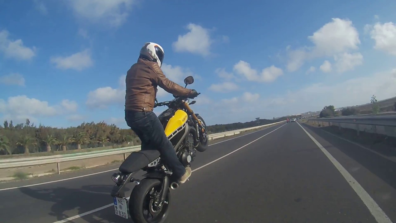 Yamaha XSR900 - Best ever motorcycle for wheelies?!