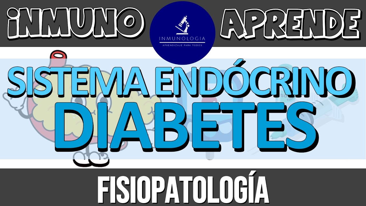Fisiopatología de la Diabetes | Regulación de la glucosa y secreción de insulina - Diabetes 1 y 2