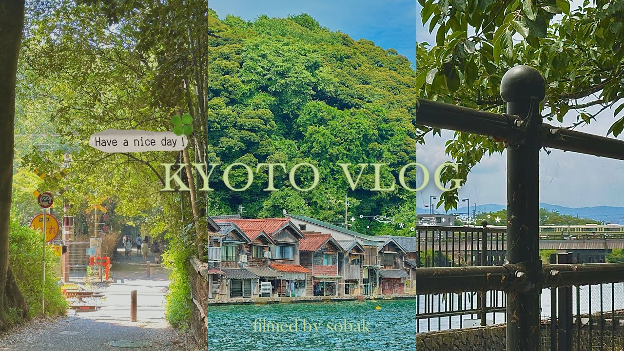 다시 혼자 떠난 여름 교토 | 교토의 초록빛을 좋아해 🌿🫧 | 일본에서도 전도 당한 썰 •••