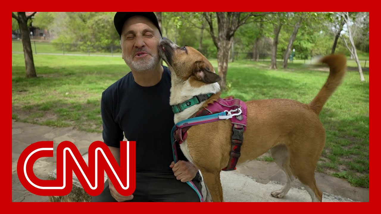 He found a way to help get addicts into treatment & their pets into loving homes