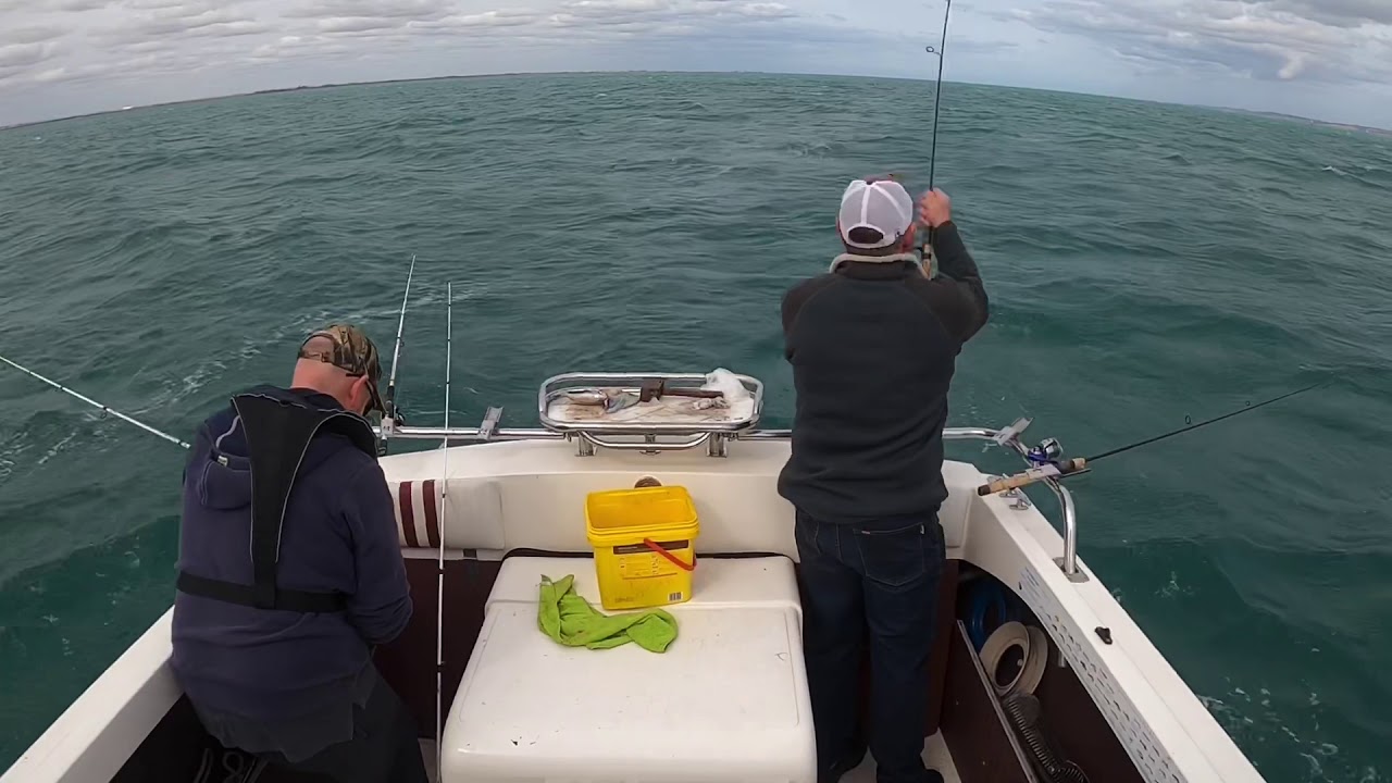 Ray-Snapper Corio Bay, Bertram 23'