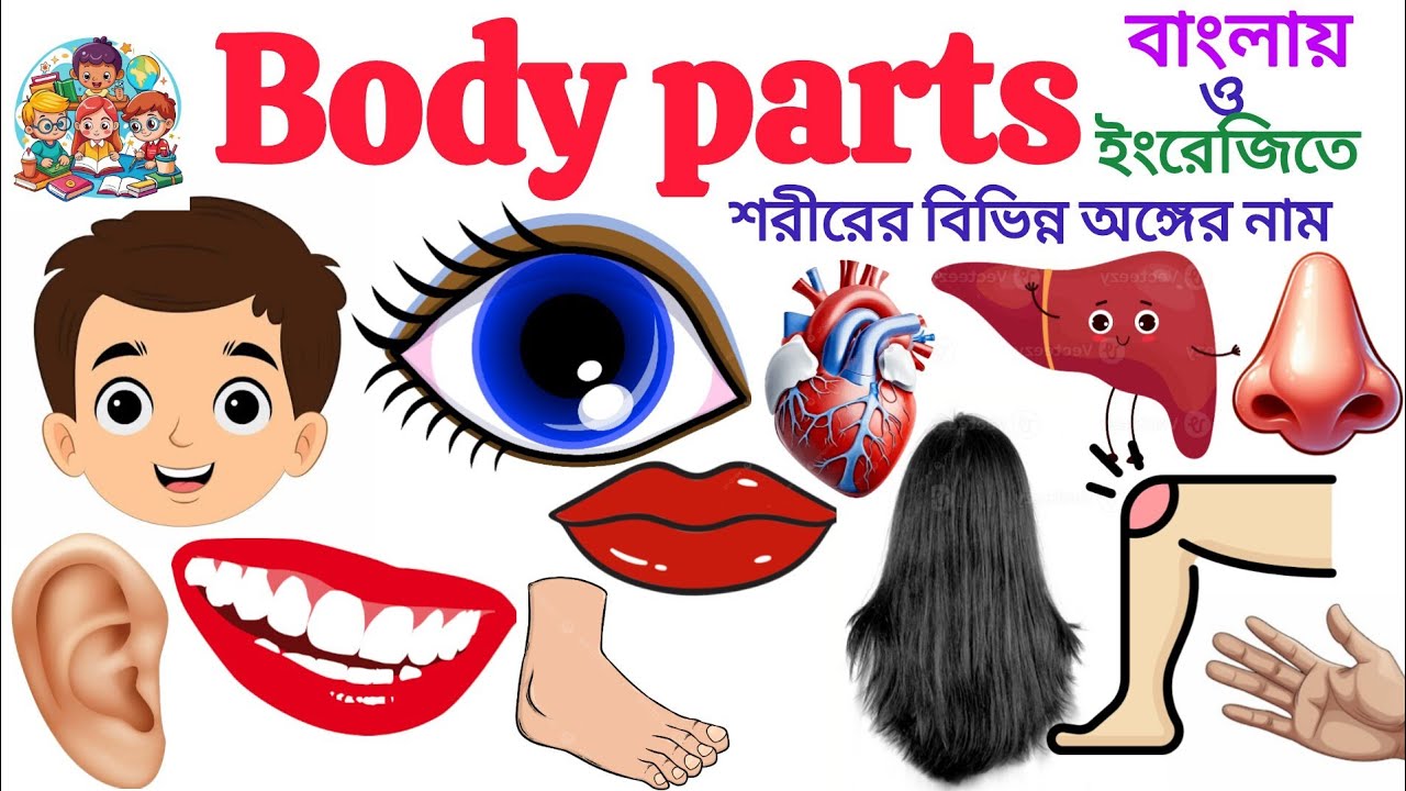 Human Body Parts Name | Learn 20 Body Parts Name IN English With Pictures| Body Parts Name For Kids 