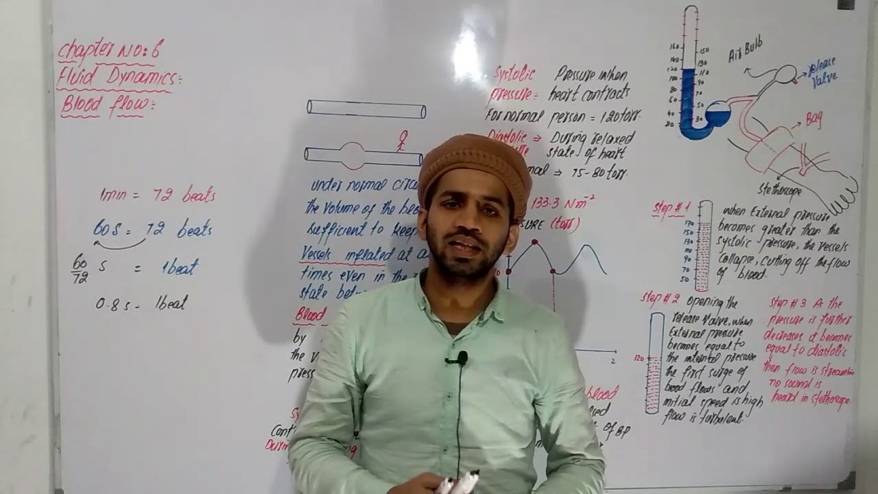 Blood Flow, Blood flow class 11, blood flow inter part 1