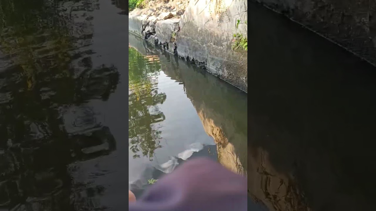 #mancing