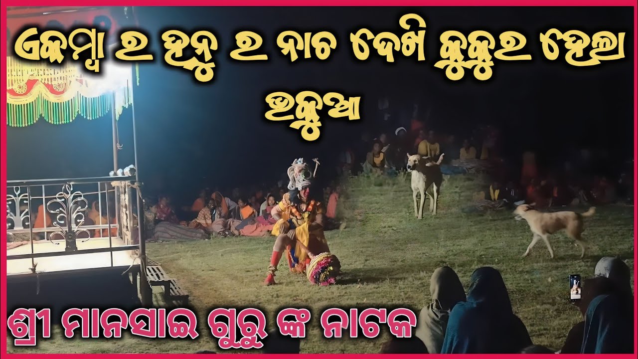 ଏକମ୍ବା ର ହନୁମାନ ର ନାଚ ଦେଖି କୁକୁର 🐕 ହେଲା ଭକୁଆ_Mansai guru natak Ekamba/ muinatguru