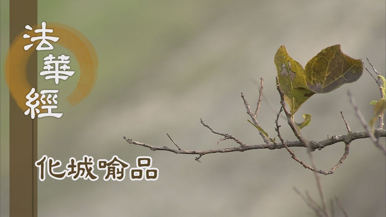 【靜思妙蓮華】法華經化城喻品 - 廣行方便 饒益有情 - 20211012 第1000集