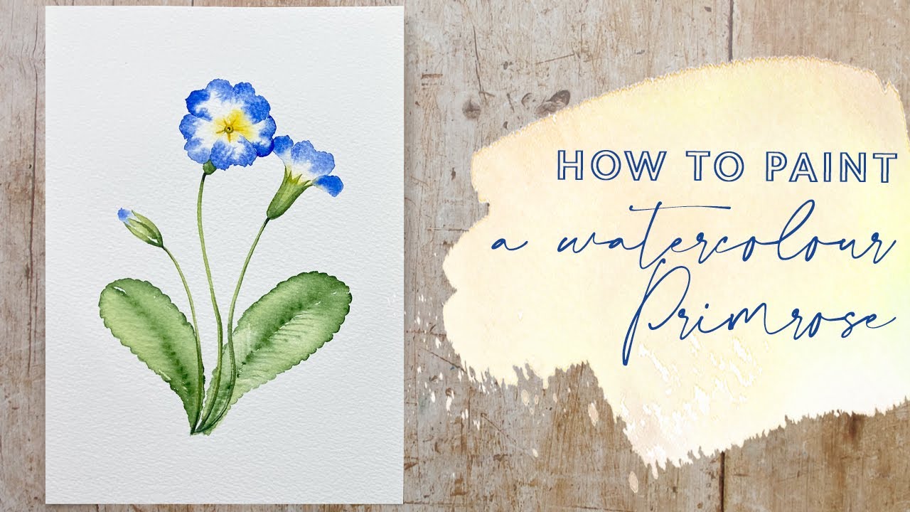 How to Paint a Watercolour Primrose