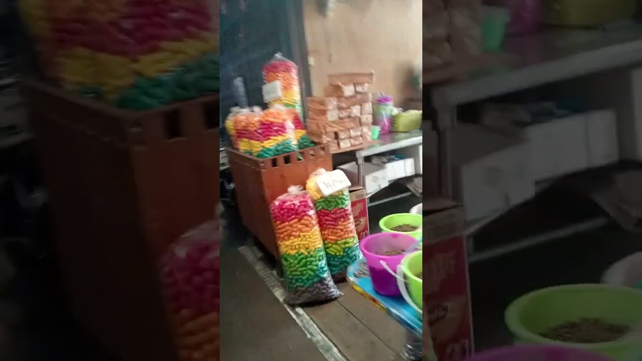 #ตลาดน้ำโบราณบางพลี