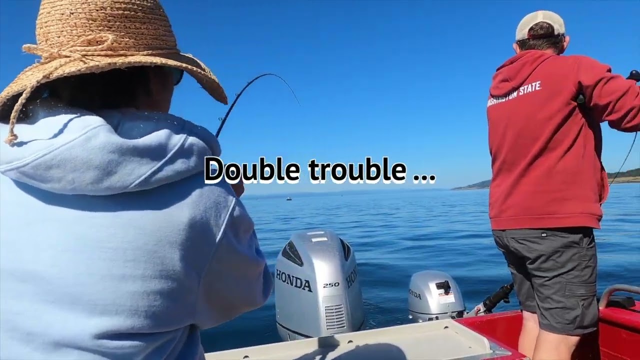 How to catch -- 2024 “Wild”  Silver Salmon San Juan Island