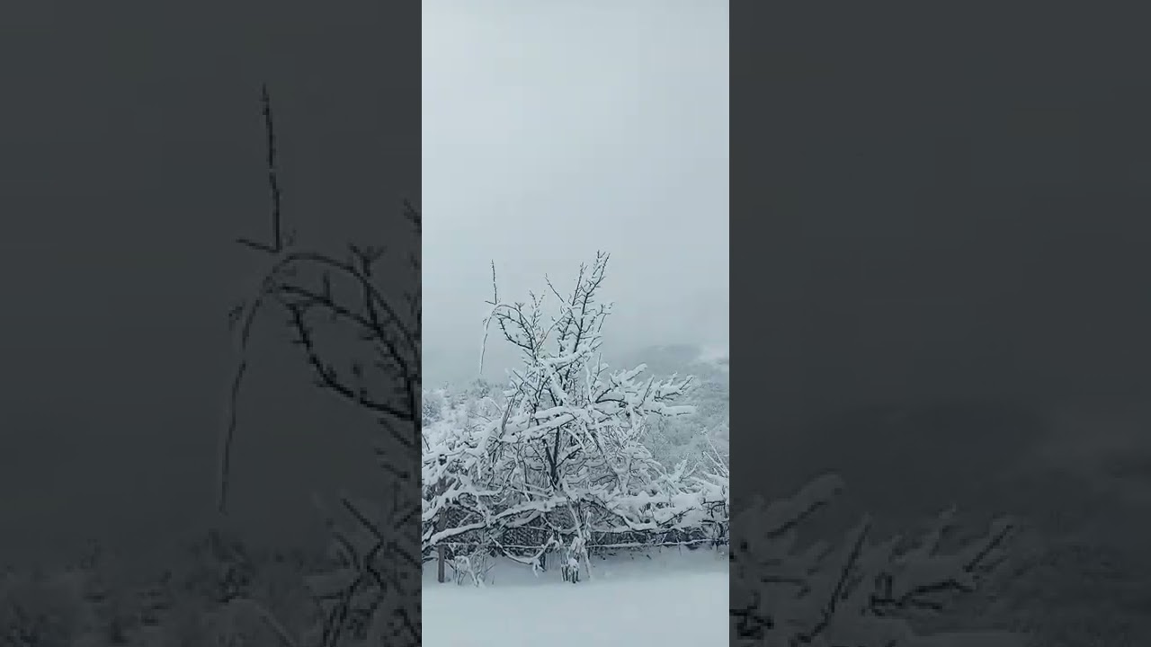 Ձմեռը Նորաշենիկում/ Syuniq region,Norashenik/Armenia