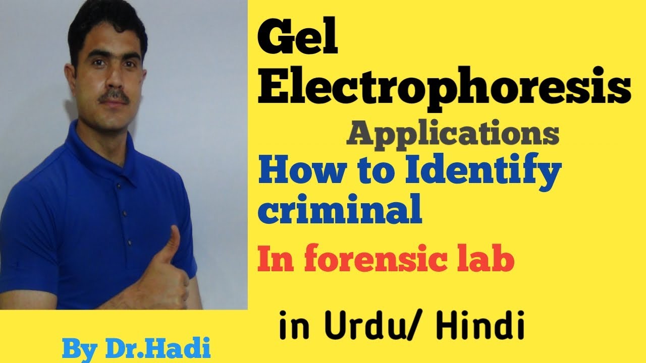 L-4 Electrophoresis, its mechanism and application in  forensic lab in Urdu by Dr A.Hadi