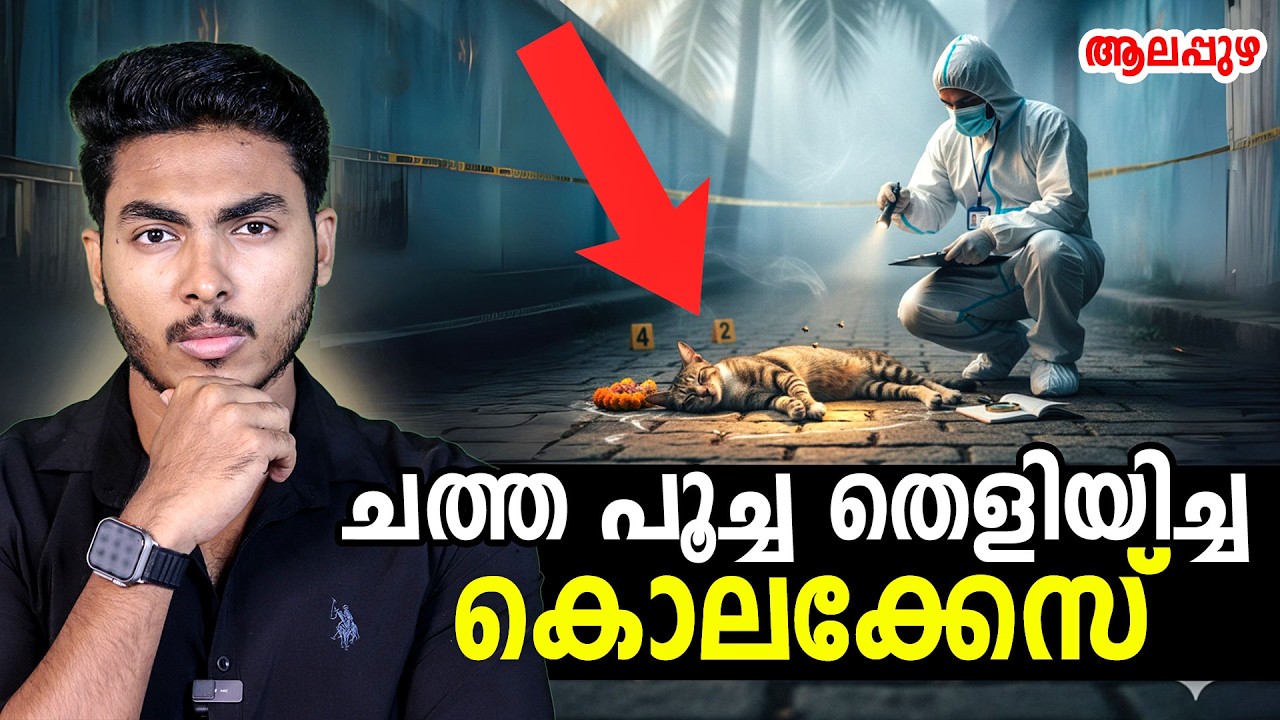 ചത്ത പൂച്ച തെളിയിച്ച ഞെട്ടിക്കുന്ന കേസ് !! DEAD CAT SOLVES A CASE | MALAYALAM | AFWORLD BY AFLU