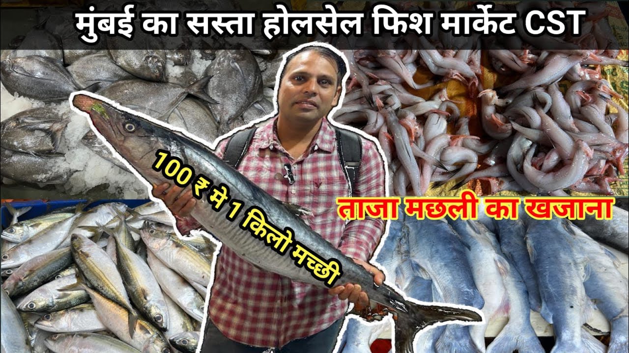 मुंबई में थोक मछली का कारोबार 🐠 |Mumbai CST Fish Market | Wholesale Fish Market In Market | Fishing 
