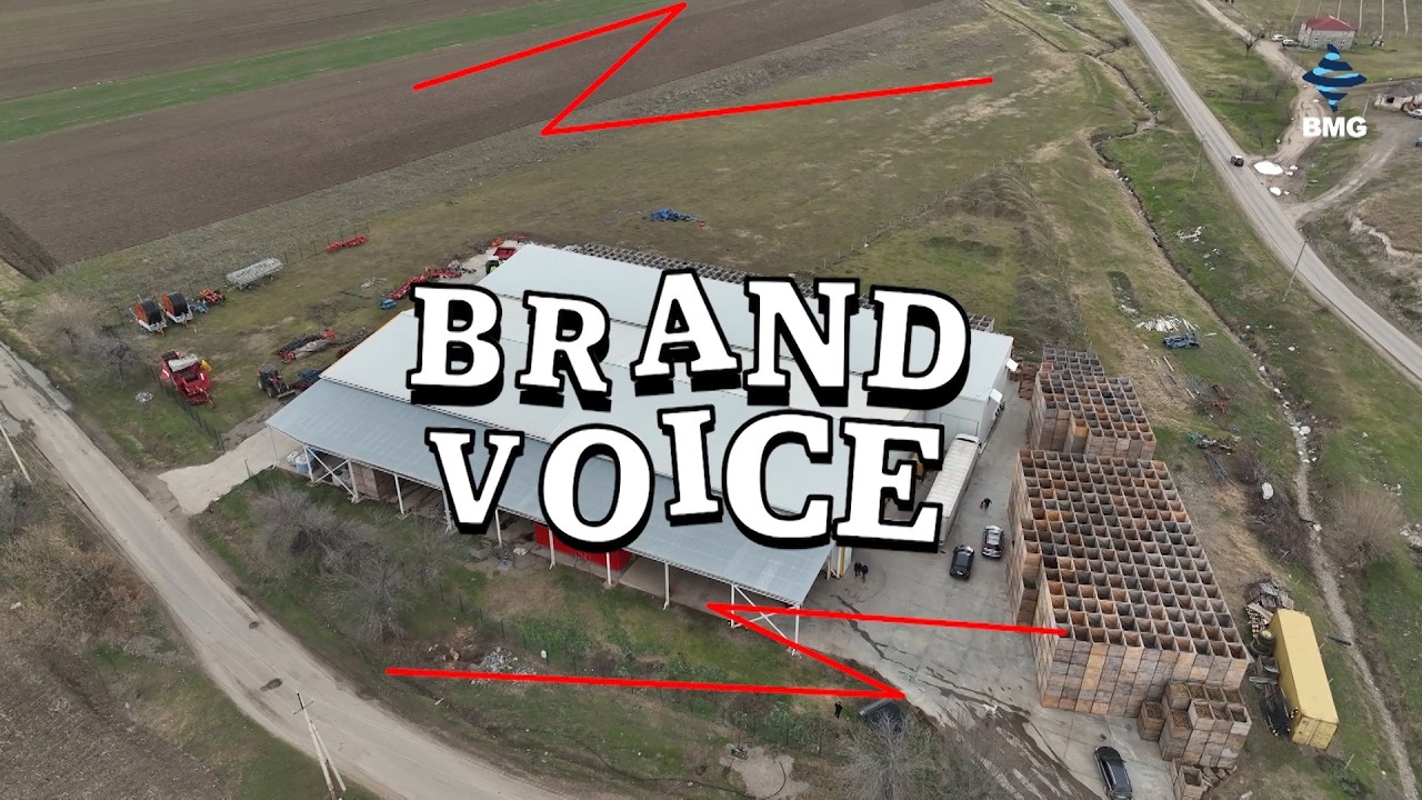 #ბრენდისხმა -  