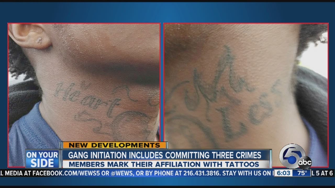 Volk_Heartless_Felons