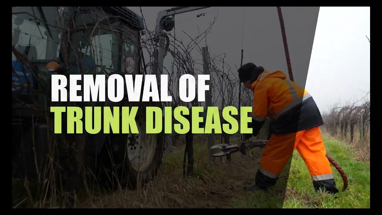 Maxicut - Vineyard Rejuvenation and Cordon Renewal!