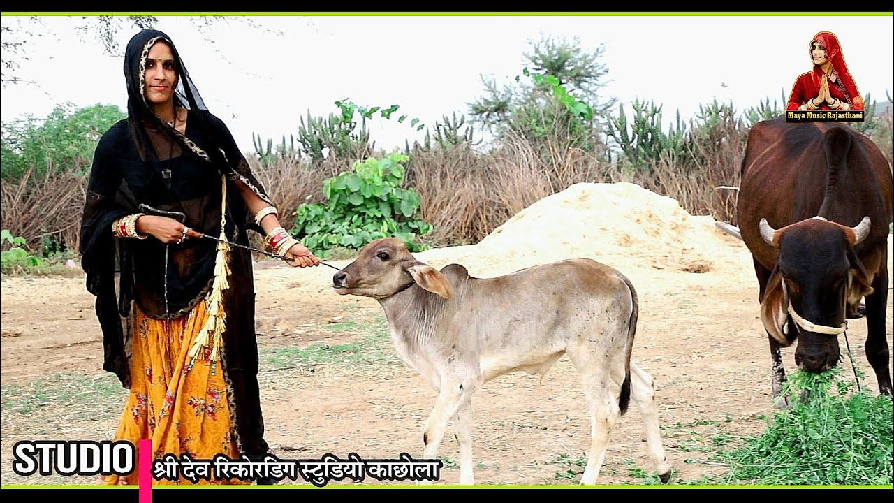 सोनचड़ी बन जाऊँ सिंगर _माया गुर्जर सांग MAYA GURJAR