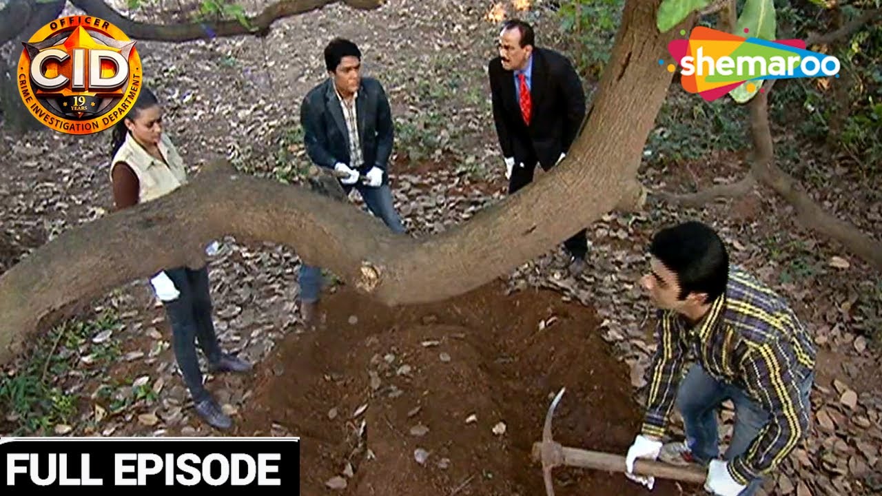 CID Team Uncovers A Forest Of Horror | CID | Purvi. Abhijeet || A Chilling Discovery | सीआईडी