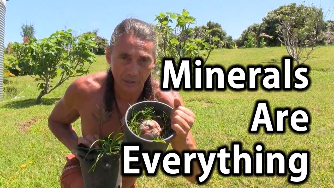 Minerals Are Everything | Tip Of The Day | Dr. Robert Cassar