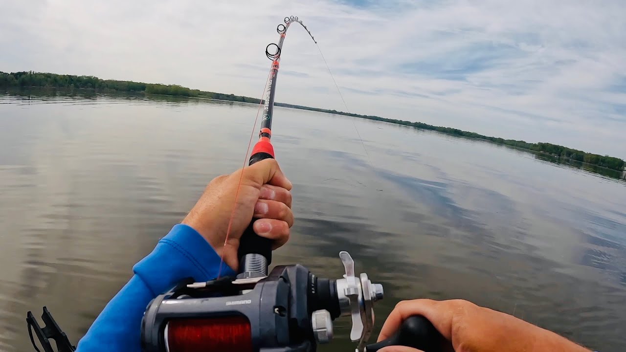 BIG Catfish HAMMERS Bait on Hoover Reservoir - Ohio Catfishing